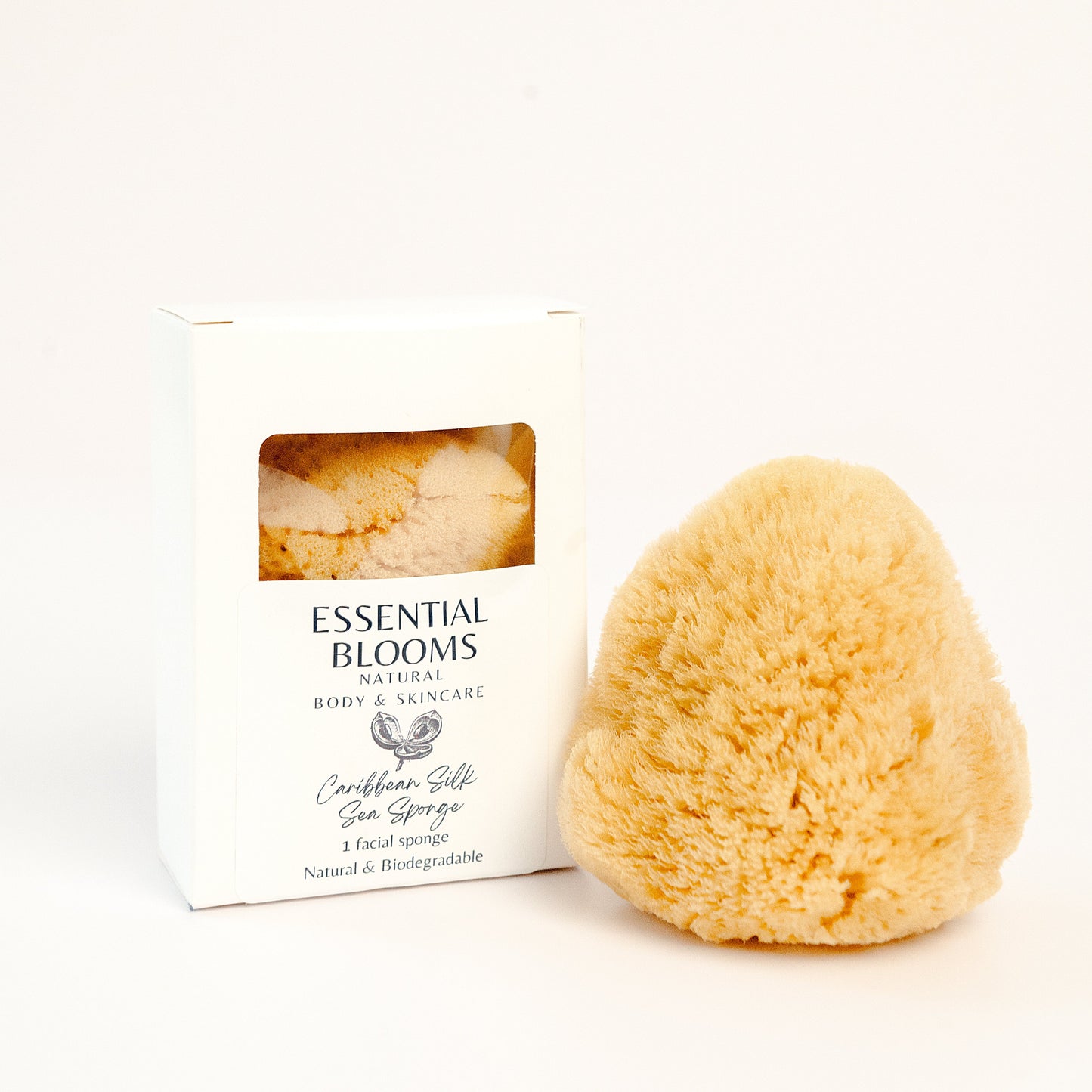 Caribbean Silk Sea Sponge