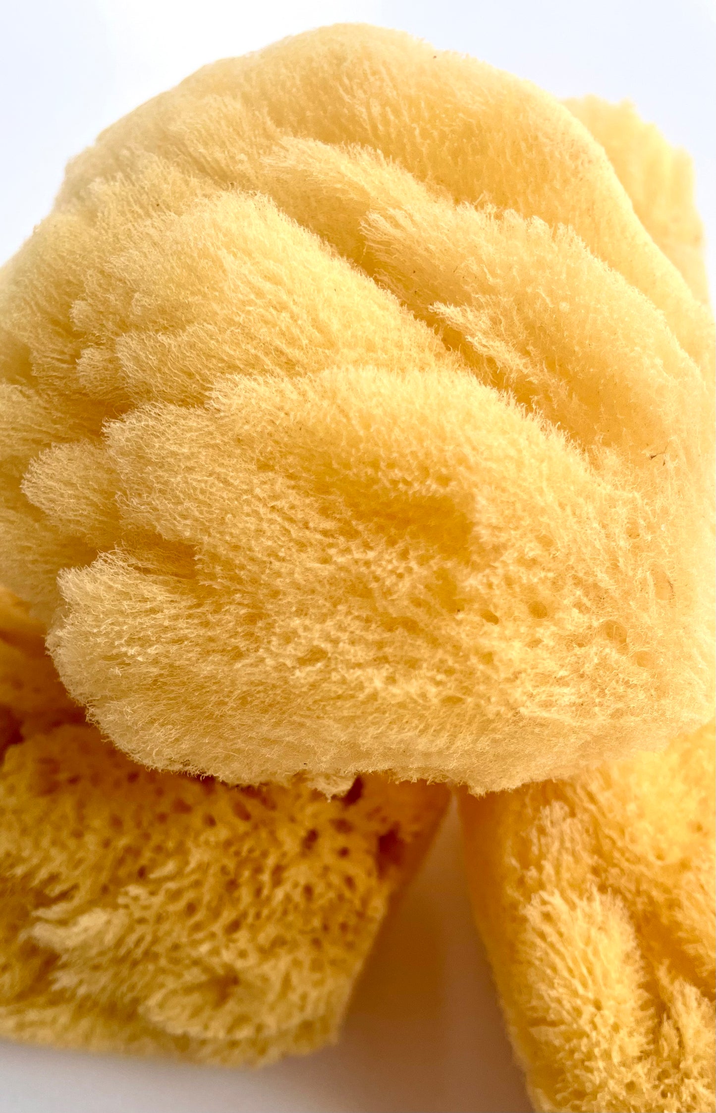 Caribbean Grass Body Sponge