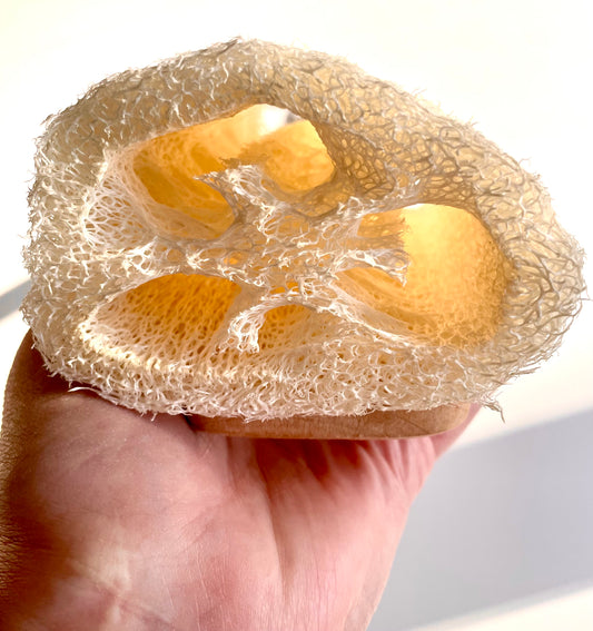 Natural Wood Handle Loofah
