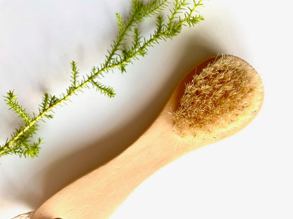 Facial Dry Brush