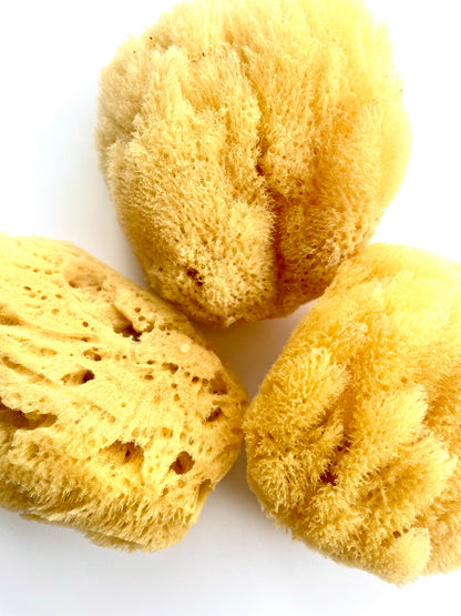 Caribbean Grass Body Sponge