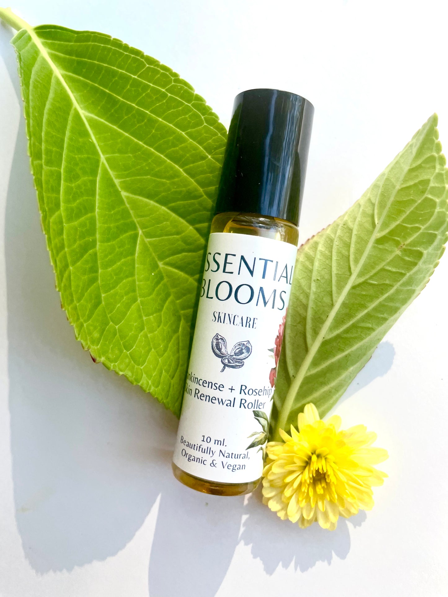 Frankincense + Rosehip Skin Renewal Roller