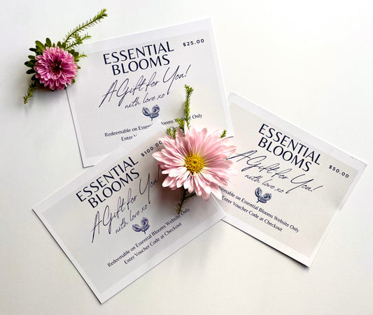 $25 Gift Certificate