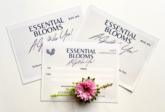 $50 Gift Certificate