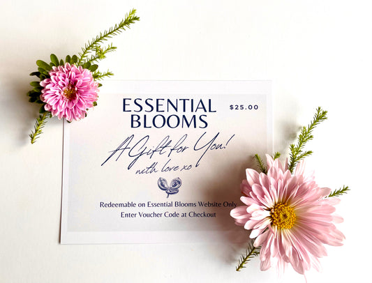 $25 Gift Certificate