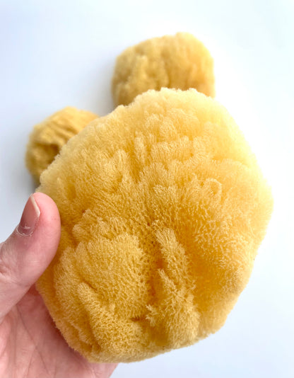 Caribbean Grass Body Sponge