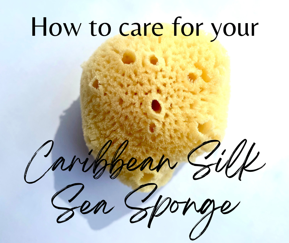 Caribbean Silk Sea Sponge