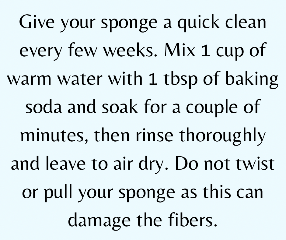 Caribbean Silk Sea Sponge