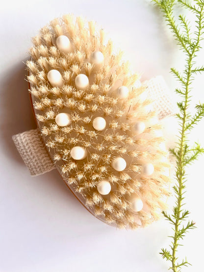 Oval Dry Brush with Massage