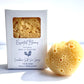 Caribbean Silk Sea Sponge